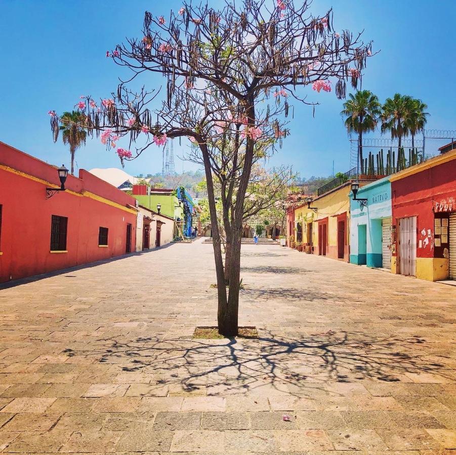 Beautiful Apartment In Oaxaca City'S Best Location Kültér fotó