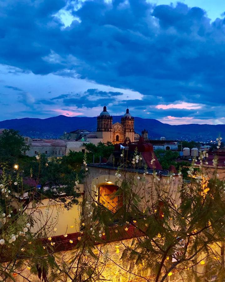 Beautiful Apartment In Oaxaca City'S Best Location Kültér fotó