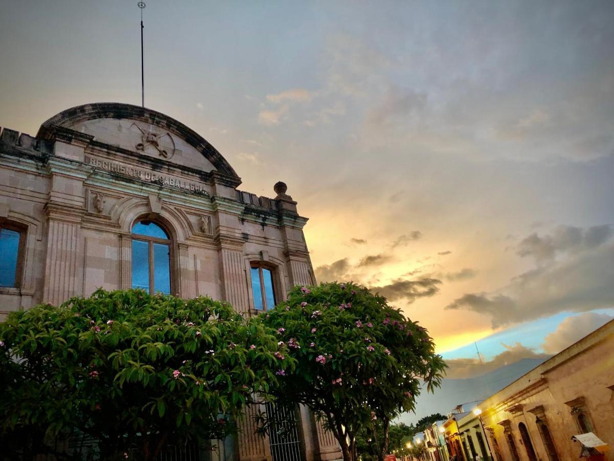 Beautiful Apartment In Oaxaca City'S Best Location Kültér fotó